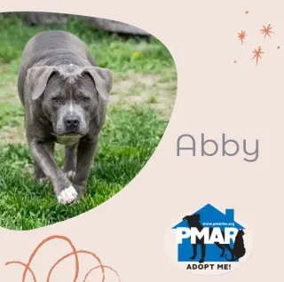 Abby