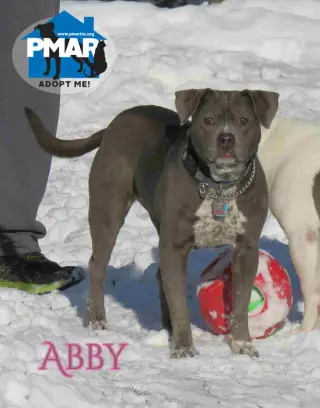 Abby