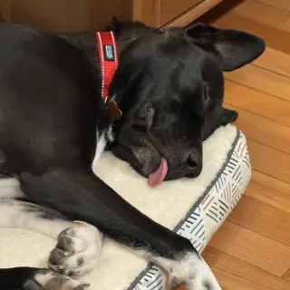 Mia