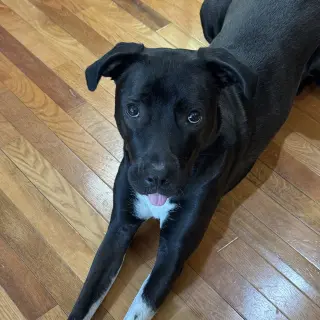 Mia