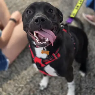 Mia