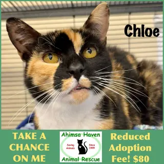 Chloe