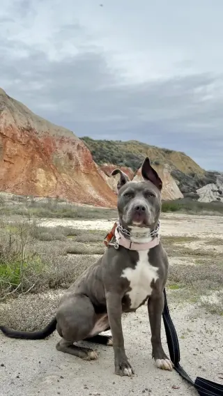 Roxy