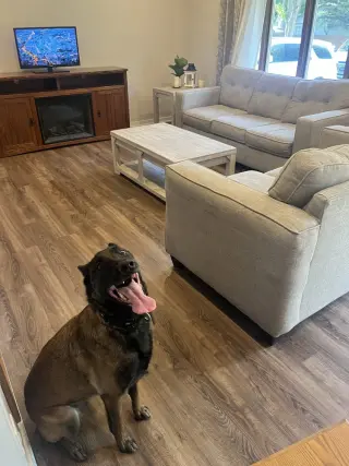 Oakley (Fostered in Michigan)