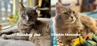 Smokey Joe / Cookie Monster