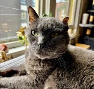 Smokey Joe / Cookie Monster