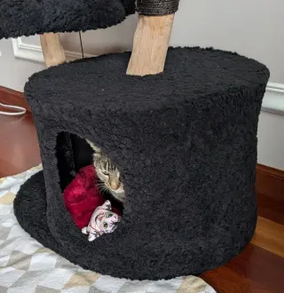 Miss Tilly