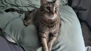 Leroy