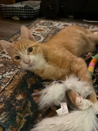 Clawed