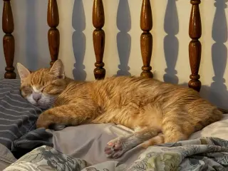 Clawed