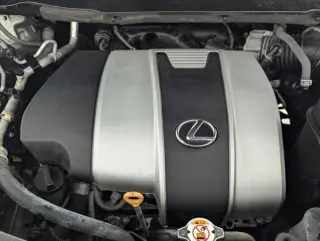 Lexus RX 350 2020 4 SUV