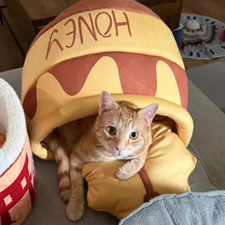 Xander