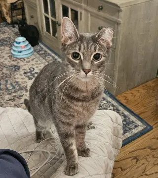 SUZIE