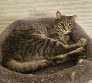 SUZIE