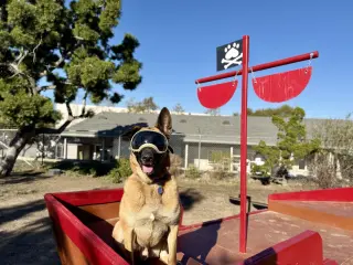 Gunther