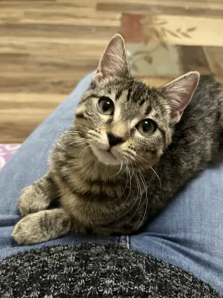 Jenny