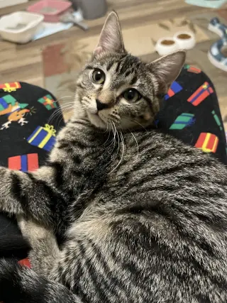 Jenny