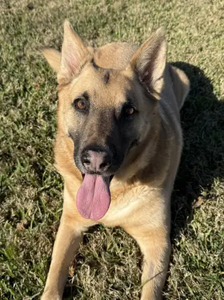 Irwin
