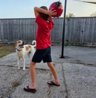 Buddy