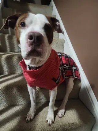 Lucy