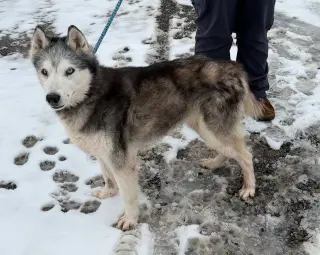Kira: Bonded with Lucy