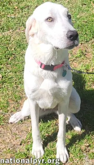 Lady in LA - Sweet, Sassy & Playful!