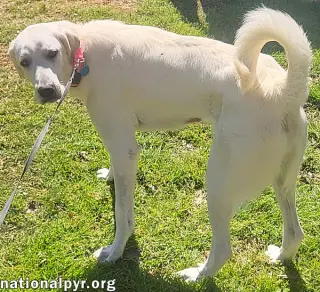 Lady in LA - Sweet, Sassy & Playful!
