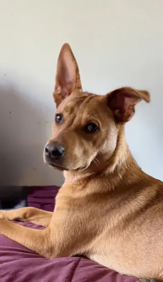 Lucky