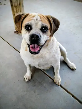 Fiona