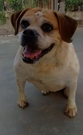 Fiona