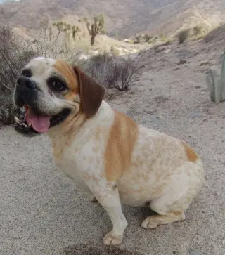 Fiona