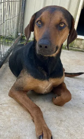 Georgia