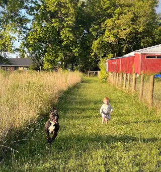 Leila