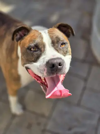 Mugsy