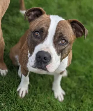 Mugsy