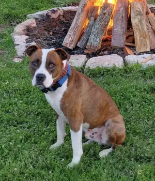 Mugsy