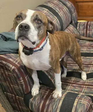 Mugsy