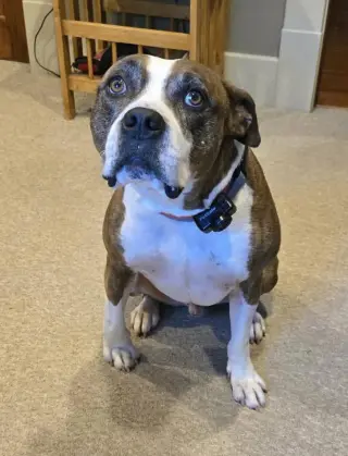 Mugsy