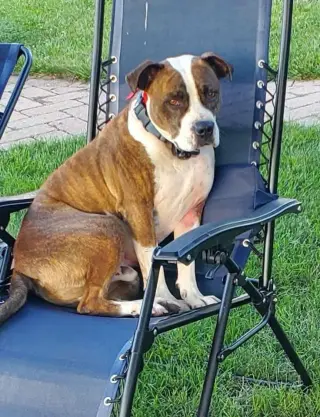 Mugsy