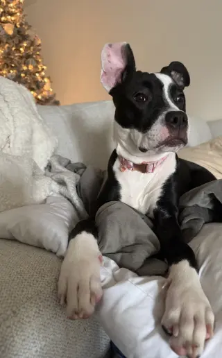 Tallulah