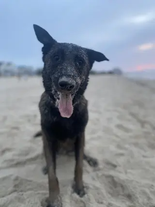 Coby - Located in Maryland