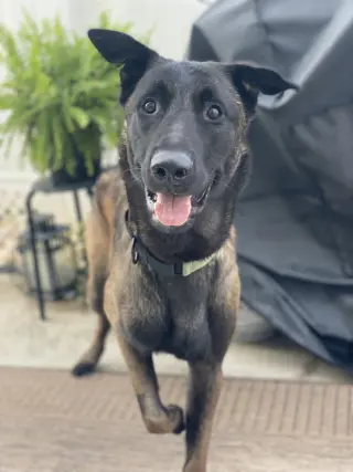 Coby - Located in Maryland