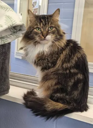 George