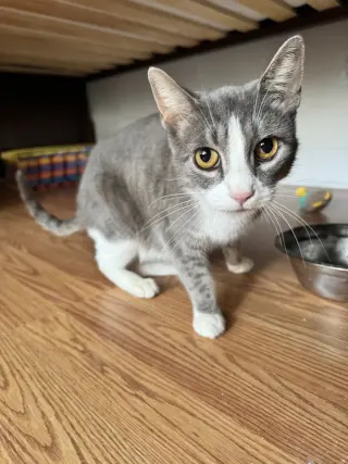 Salem