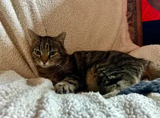 Earlene