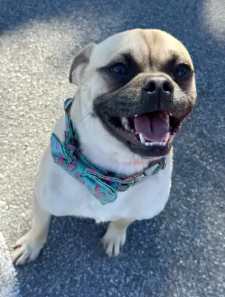 Jack