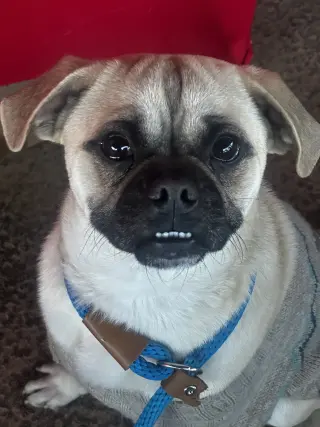 Jack