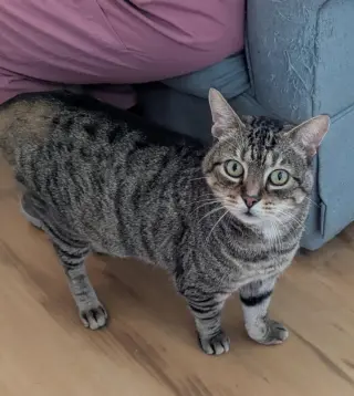 Gerald