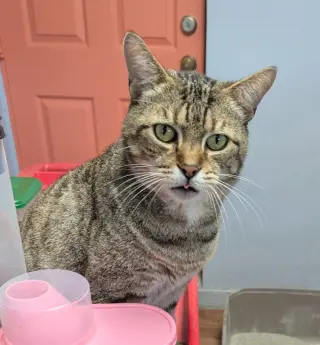 Gerald