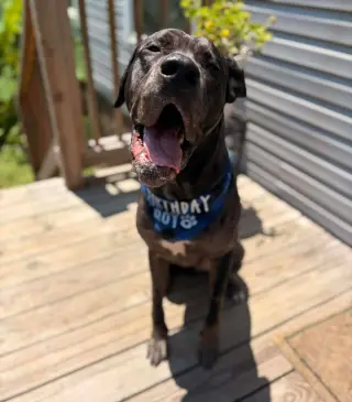 Kane (Courtesy)